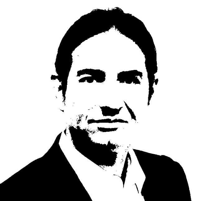 Seo Portrait Hans Braumüller